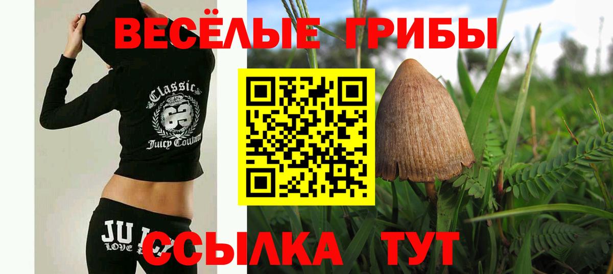 Екатеринбург  Галлюциногенные грибы GOLDEN TEACHER  Вход с VPN 